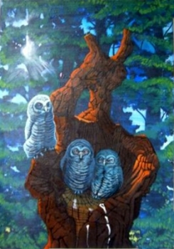 The Old Oak